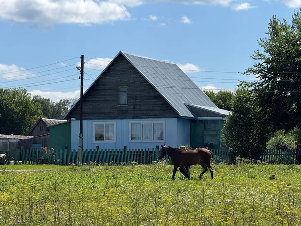 Галерея
